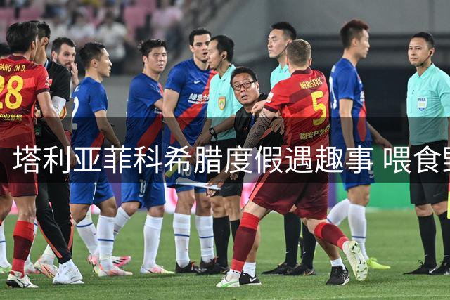 塔利亚菲科希腊度假遇趣事 喂食野猪反被轻咬
