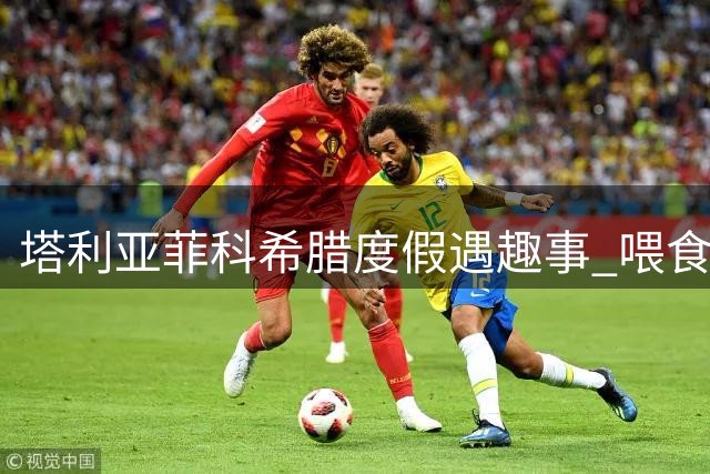 塔利亚菲科希腊度假遇趣事 喂食野猪反被轻咬
