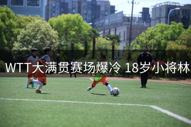 WTT大满贯赛场爆冷 18岁小将林诗栋力克陈垣宇晋级32强
